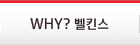 WHY? 벨킨스