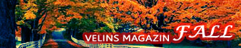 Velkins Magazine 4th.