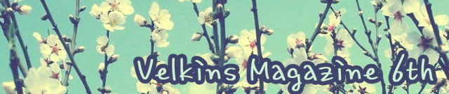 Velkins Magazine 6th.